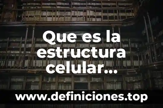 Que es un resumen y su estructura 4 Que es la estructura celular eucariota