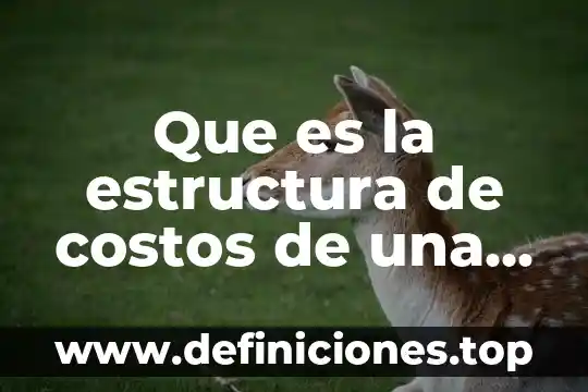 Que es un resumen y su estructura 8 Que es la estructura de costos de una empresa