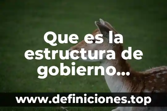 Que es la estructura de gobierno issemym