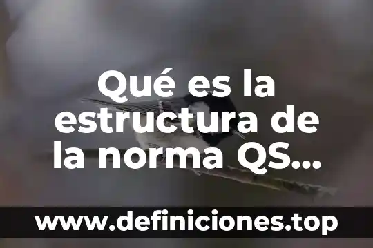 Que es un sindicato estructura social 6 Qué es la estructura de la norma QS 9000