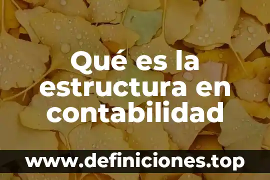 Qué es la estructura en contabilidad