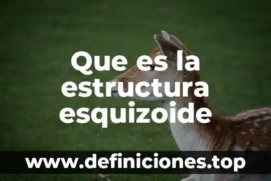 Qué es la estructura de la norma QS 9000 4 Que es la estructura esquizoide