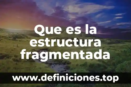 Que es la estructura fragmentada