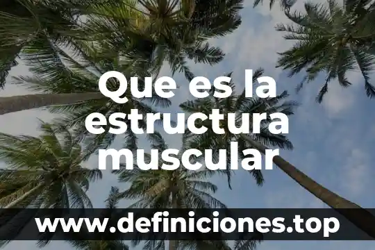 Escala de un mapa que es 5 Que es la estructura muscular