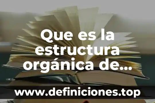 Que es una olecula organica 7 Que es la estructura orgánica de una empresa
