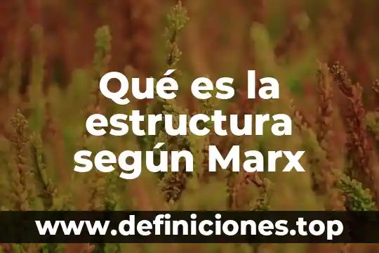 Qué es la estructura de la norma QS 9000 6 Qué es la estructura según Marx