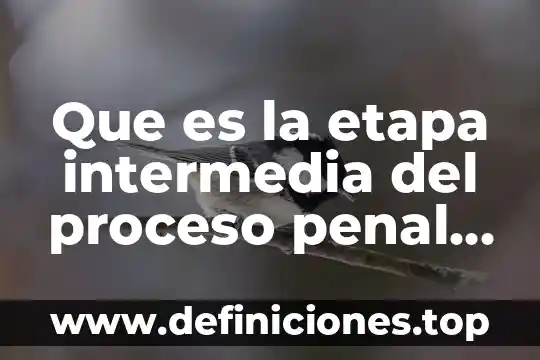 Que es la teoria del injusto penal en el funcionalismo 5 Que es la etapa intermedia del proceso penal mexicano