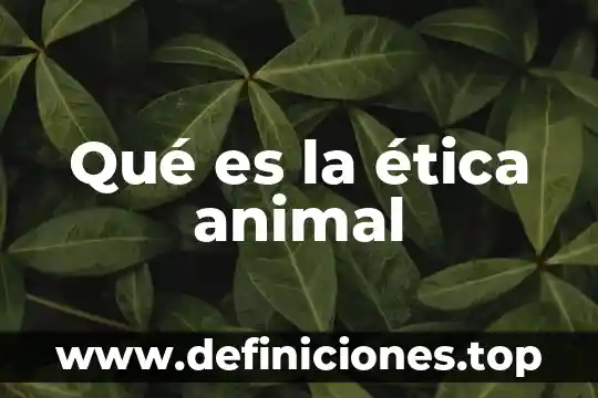 Qué es la ética animal
