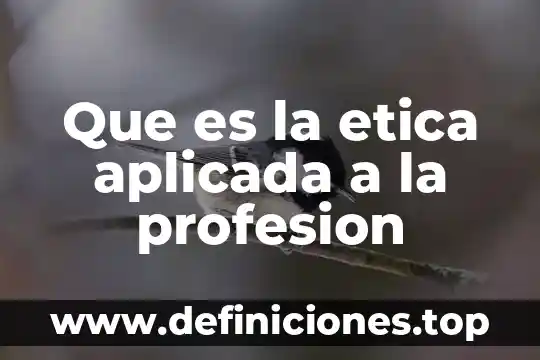 Que es la animacion aplicada en el diseño 4 Que es la etica aplicada a la profesion