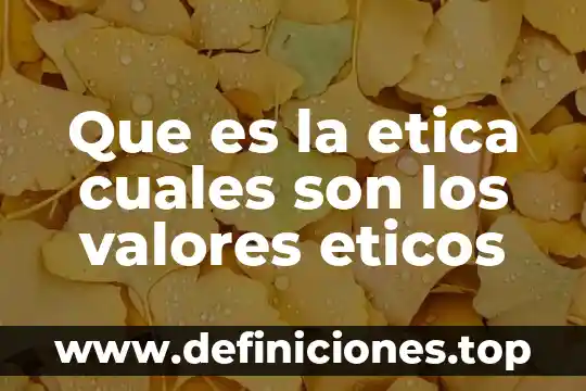 Qué es un valores ejemplos 4 Que es la etica cuales son los valores eticos
