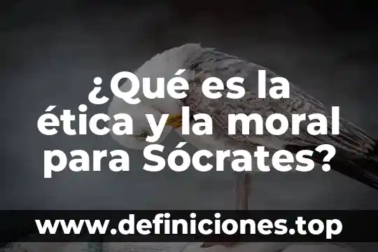 Ética hospitalidad que es 4 ¿Qué es la ética y la moral para Sócrates?