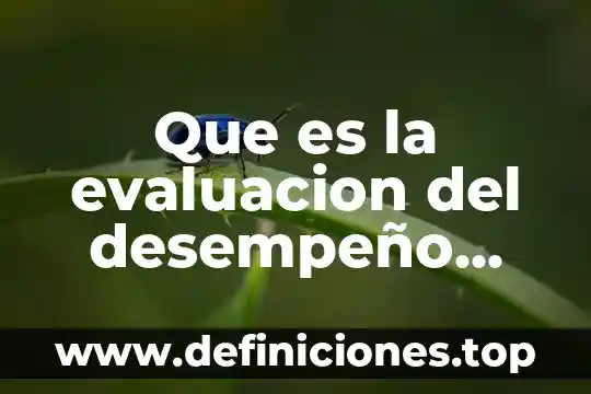 Que es la evaluacion del desempeño docente en mexico