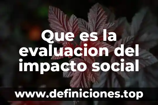 Impacto ambiental que es universidad nacional autónoma de mexico 7 Que es la evaluacion del impacto social