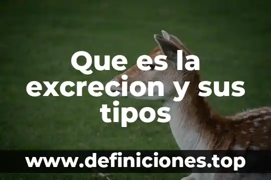 Que es la excrecion y sus tipos