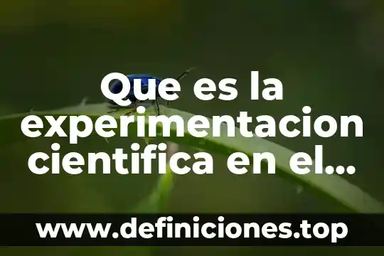 Que es la comunicacion efectiva en el aula 7 Que es la experimentacion cientifica en el aula