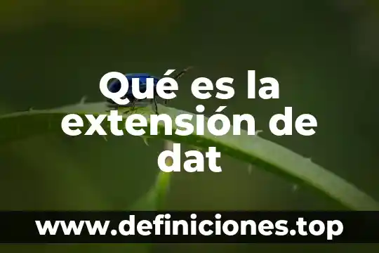 Que es una extension en una pagina web 6 Qué es la extensión de dat