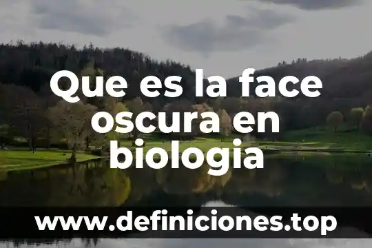 Que es el equilibrio estatico en biologia 5 Que es la face oscura en biologia