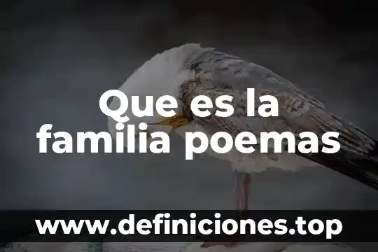 Que es una familia y un periodo quimico 4 Que es la familia poemas