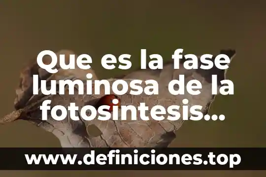 Qué es un diagrama de fase ternario 7 Que es la fase luminosa de la fotosintesis unam