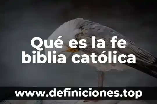Que es el caracter segun la biblia 8 Qué es la fe biblia católica