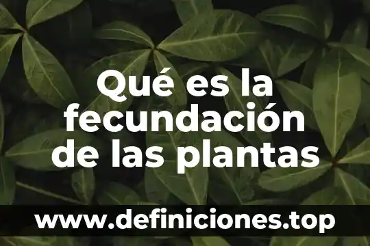 Qué es fecundación en biología 5 Qué es la fecundación de las plantas