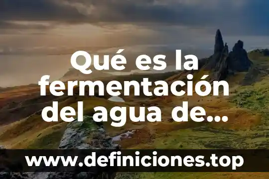 Qué es la fermentación del agua de arroz