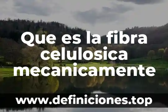 Qué es mejor la fibra soluble o insoluble 8 Que es la fibra celulosica mecanicamente