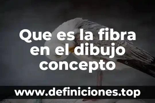 Qué es mejor la fibra soluble o insoluble 3 Que es la fibra en el dibujo concepto