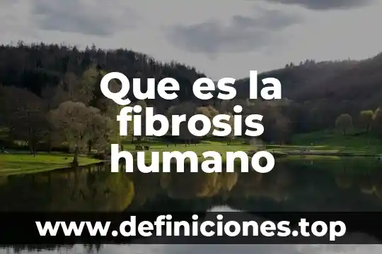 Que es la fibrosis humano