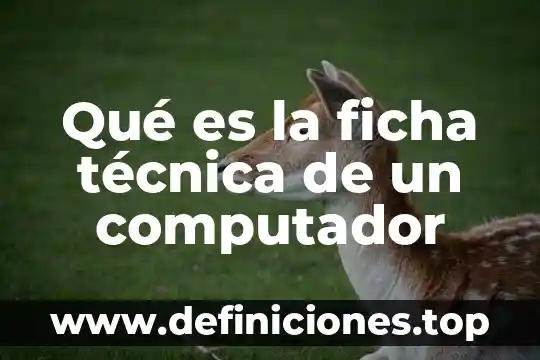 Qué es la ficha técnica de un computador
