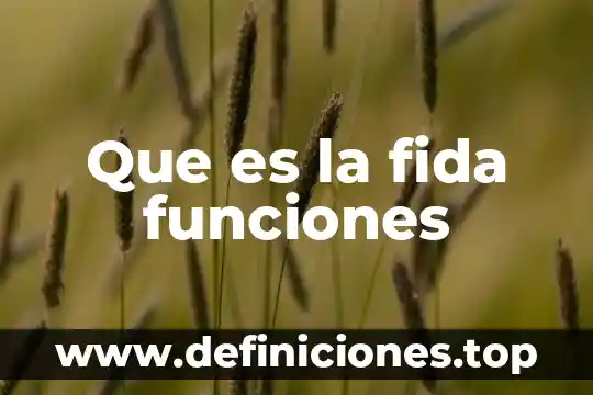 Que es funciones que domina 3 Que es la fida funciones