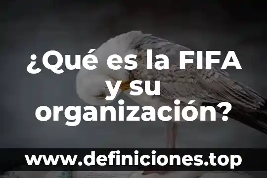Cambio en la organizaci贸n del trabajo que es 4 驴Qu茅 es la FIFA y su organizaci贸n?
