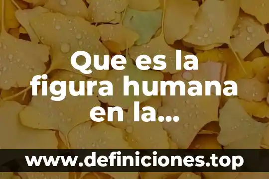 Que es la figura humana en la arquitectura