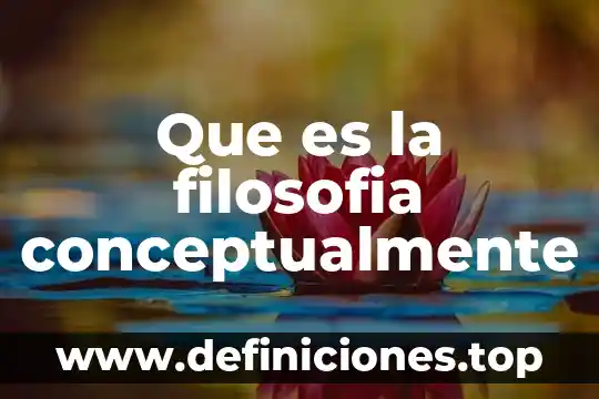 Que es la filosofia conceptualmente
