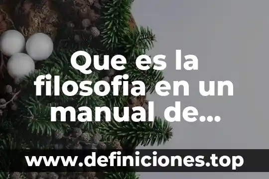 Que es mejor el doble embrague o el manual 5 Que es la filosofia en un manual de organizacion