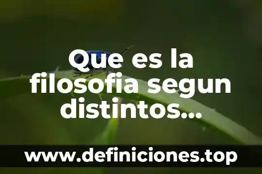 Qué es el hombre para los filósofos presocráticos 8 Que es la filosofia segun distintos filosofos