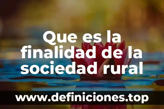 Que es la finalidad de la sociedad rural