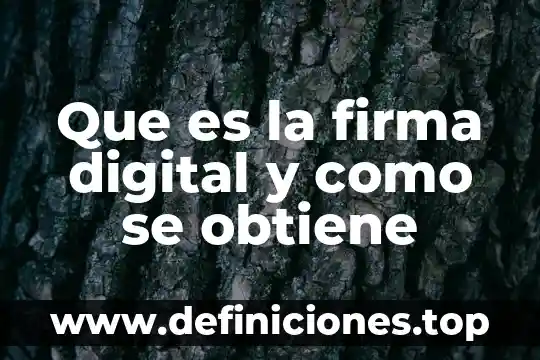 Que es una firma digital en seguridad computacional 8 Que es la firma digital y como se obtiene