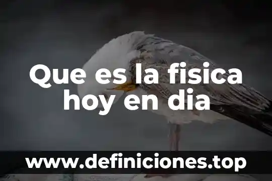 Que es ser docente hoy 6 Que es la fisica hoy en dia