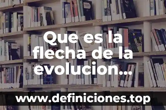 Que es la flecha de la evolucion humana