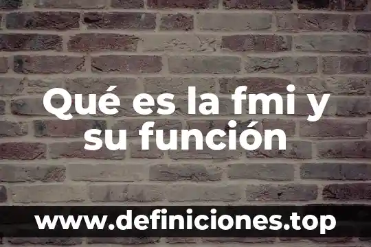 Que es y que funciones tiene el fmi 5 Qué es la fmi y su función