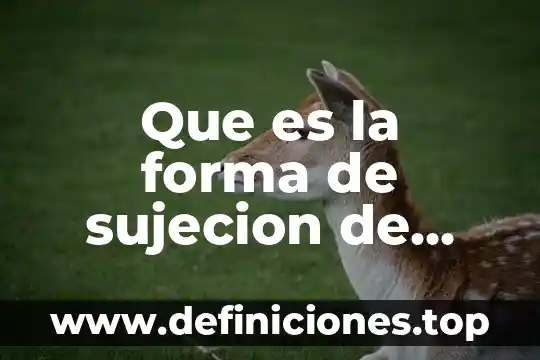 Que es la forma de sujecion de prensa