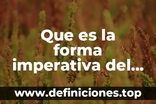 Que es la forma imperativa del ingles