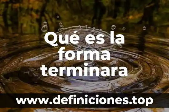 Qué es la forma terminara