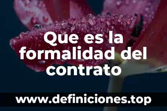 Que es la formalidad del contrato
