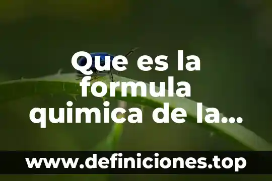 Para que es la formula gráfica 6 Que es la formula quimica de la fotosintesis