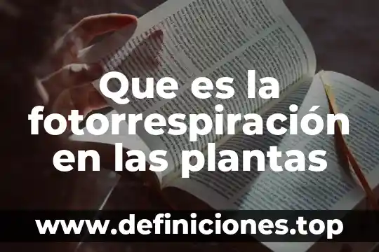 Que es la fotorrespiración en las plantas