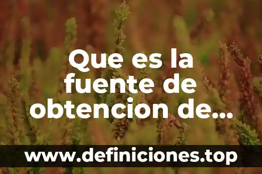 Que es una fuente de informacion de campo 6 Que es la fuente de obtencion de datos