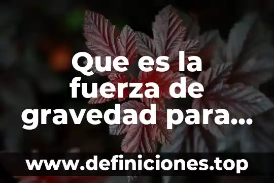 Que es es un principio ético 5 Que es la fuerza de gravedad para niños