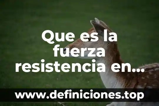 Que es el pmi en educacion 7 Que es la fuerza resistencia en educacion fisica